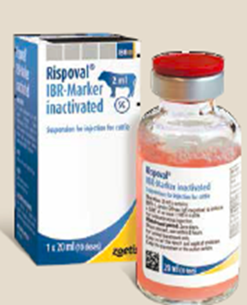 RISPOVAL IBR- Marker inactivated